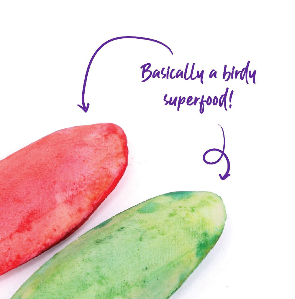 Bird Cuttlebone Flavoured 2 Pack Small-Bird Food & Treats-Ascot Saddlery