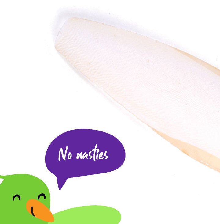 Bird Cuttlebone Natural 1 Pack Large-Bird Food & Treats-Ascot Saddlery