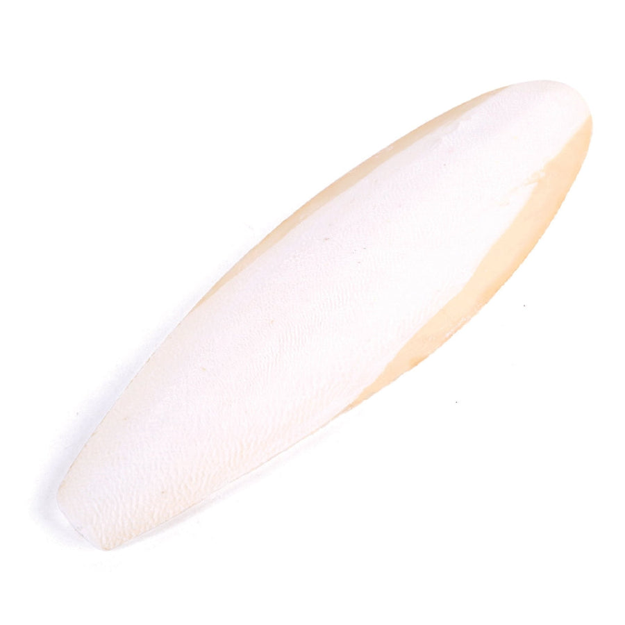 Bird Cuttlebone Natural 1 Pack Large-Bird Food & Treats-Ascot Saddlery