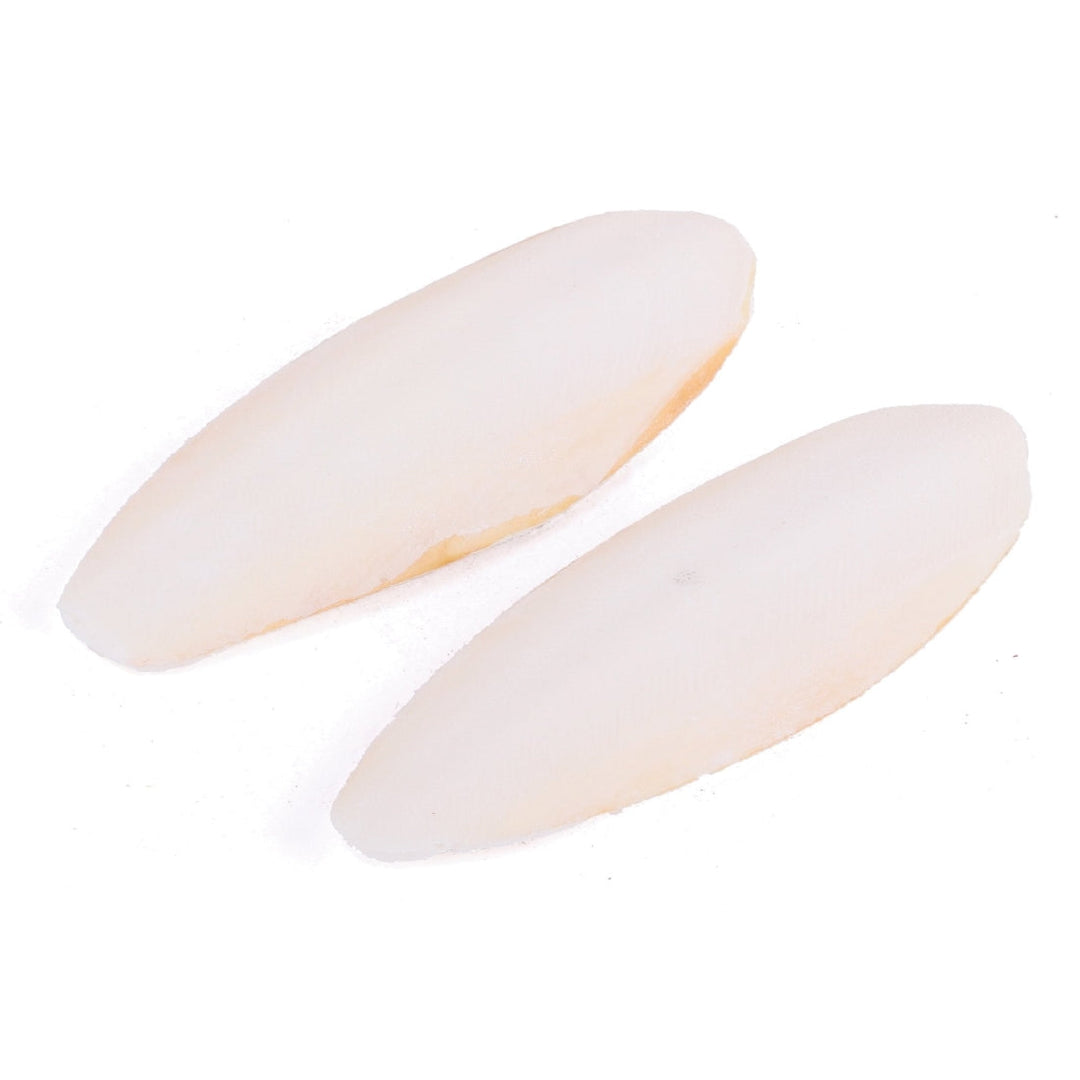 Bird Cuttlebone Natural 2 Pack Small-Bird Food & Treats-Ascot Saddlery