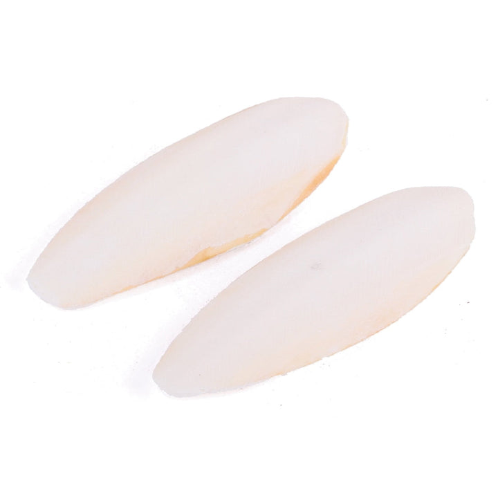 Bird Cuttlebone Natural 2 Pack Small-Bird Food & Treats-Ascot Saddlery