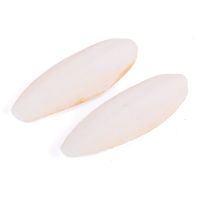 Bird Cuttlebone Natural 2 Pack Small-Bird Food & Treats-Ascot Saddlery