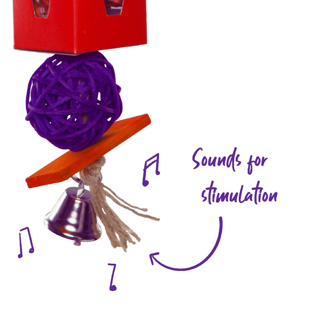 Bird Foraging Toy Twin Ball & Cardboard Small-Bird Toys-Ascot Saddlery