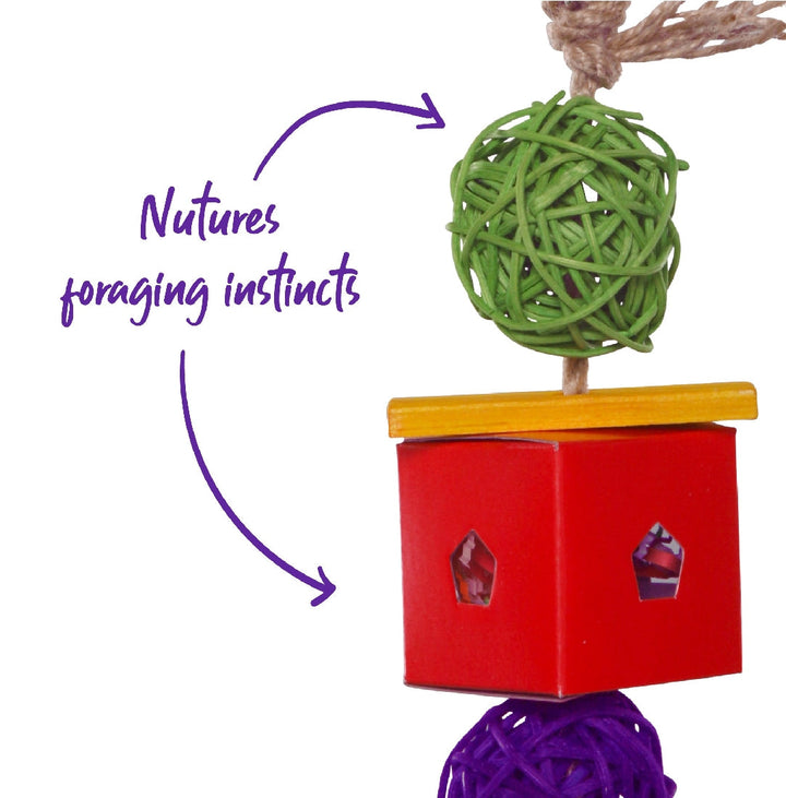Bird Foraging Toy Twin Ball & Cardboard Small-Bird Toys-Ascot Saddlery