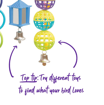 Bird Mirror Ball And Ring Set-Bird Cages & Furniture-Ascot Saddlery