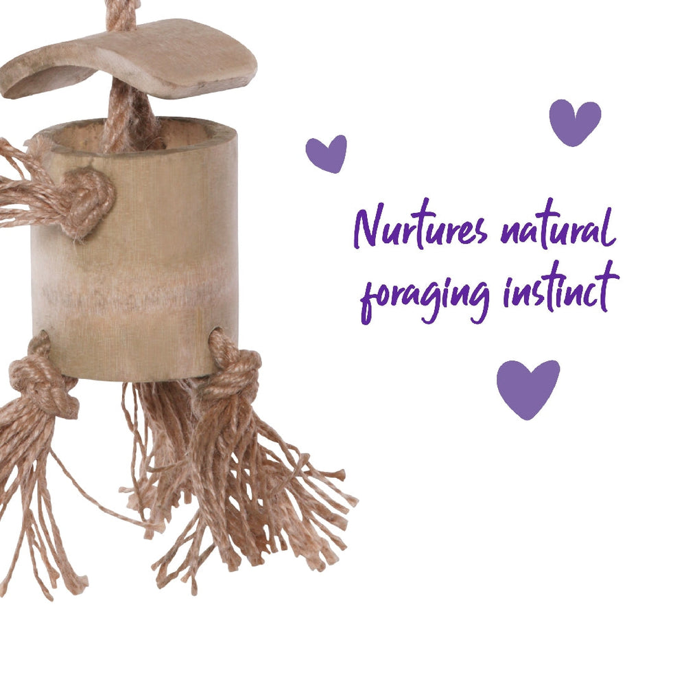 Bird Toy Natural Wooden Well With Rope Medium-Bird Toys-Ascot Saddlery