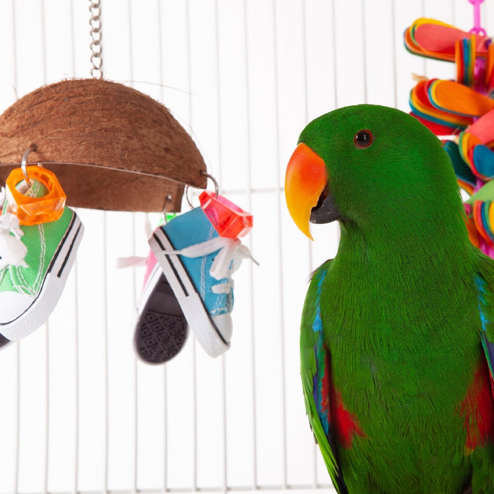 Bird Toy Split Coconut Shell With Sneakers Medium-Bird Toys-Ascot Saddlery
