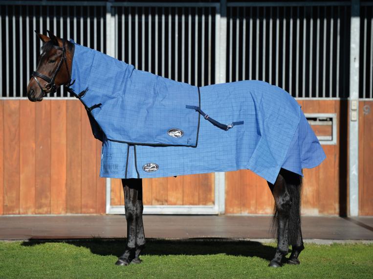 Canvas Neck Rug Unlined Eurohunter Gladiator-RUGS: Summer Rugs, Neck Rugs & Hoods-Ascot Saddlery