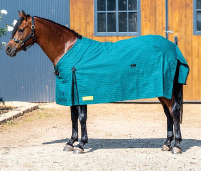 Canvas Rug Academy-RUGS: Winter Rugs, Neck Rugs & Hoods-Ascot Saddlery