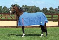Canvas Rug Eurohunter Vancouver-RUGS: Winter Rugs, Neck Rugs & Hoods-Ascot Saddlery