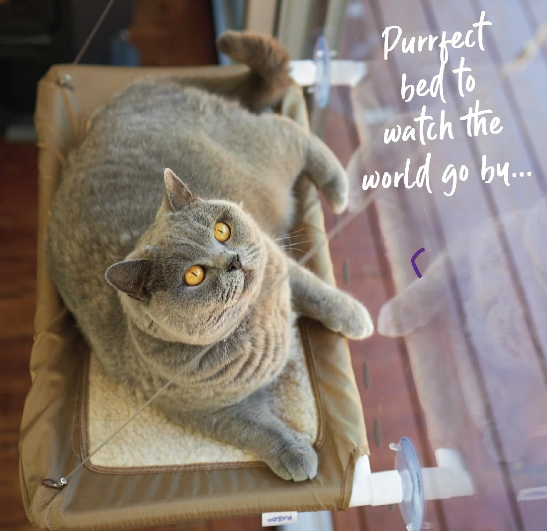 Cat Lookout Window Bed Deluxe-Cat Accessories-Ascot Saddlery