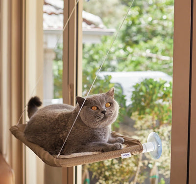 Cat Lookout Window Bed Deluxe-Cat Accessories-Ascot Saddlery