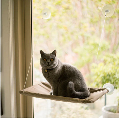Cat Lookout Window Bed-Cat Accessories-Ascot Saddlery