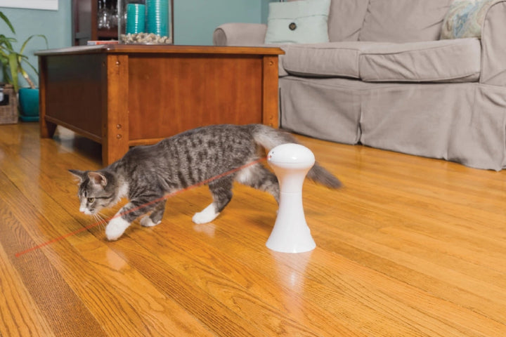 Cat Toy Frolicat Multi Laser Automatic Laser Light-Cat Gyms & Toys-Ascot Saddlery