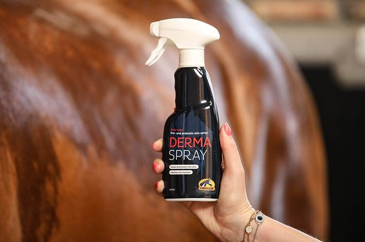 Cavalor Derma Spray 250ml-STABLE: First Aid & Dressings-Ascot Saddlery