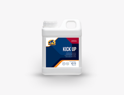 Cavalor Kick Up Bottle 1000ml-STABLE: Supplements-Ascot Saddlery