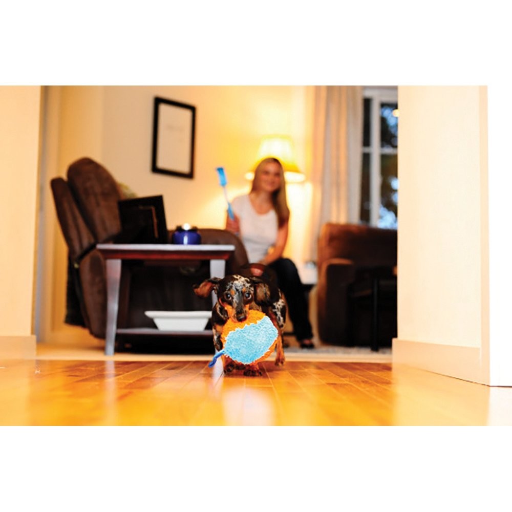 Chuckit Dog Toy Indoor Shaker 16.5cm X 14.5cm-Dog Toys-Ascot Saddlery