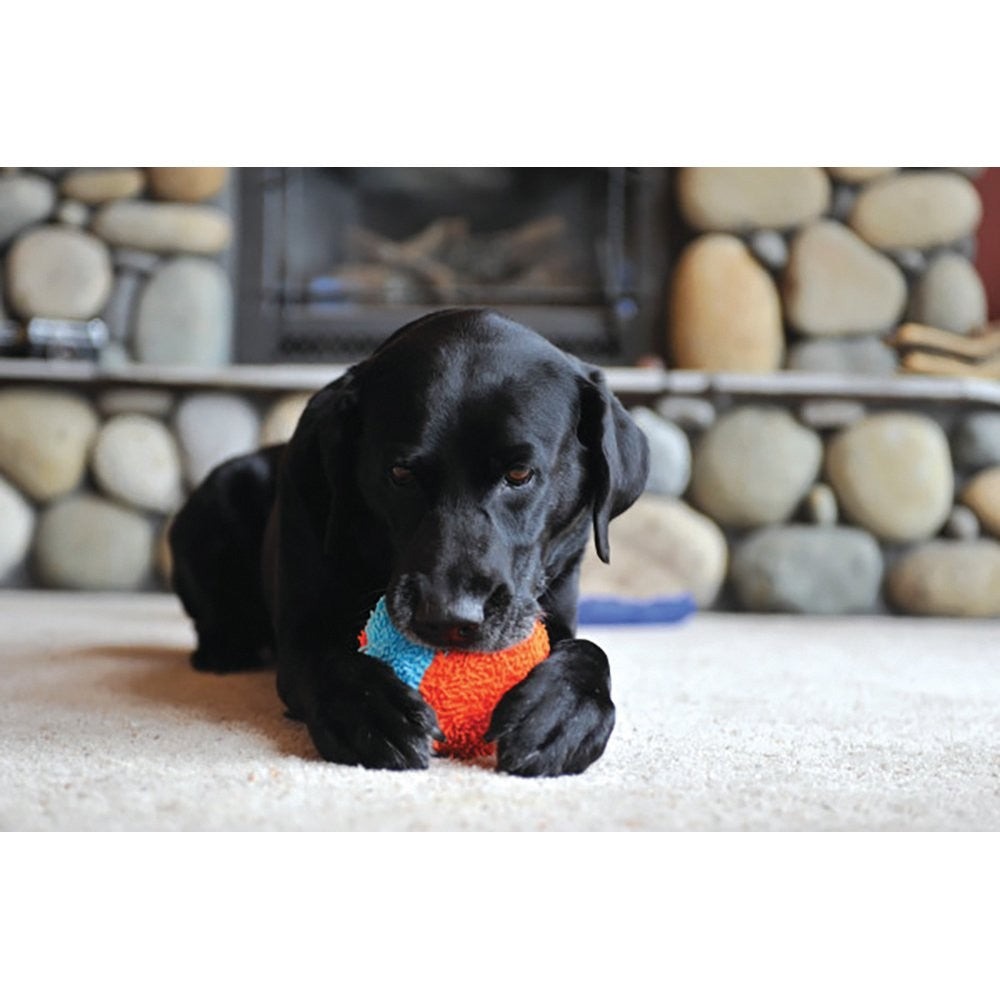 Chuckit Dog Toy Indoor Shaker 16.5cm X 14.5cm-Dog Toys-Ascot Saddlery