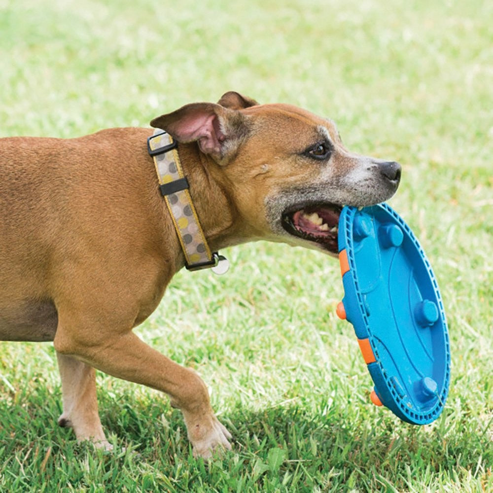 Chuckit Dog Toy Whistle Flight 28cm-Dog Toys-Ascot Saddlery