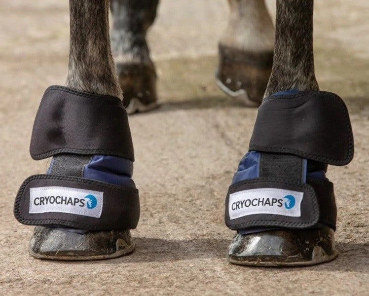 Cryochaps Absolute Ice Wrap Pastern Hocks Knees Pair-STABLE: Ice Boots-Ascot Saddlery