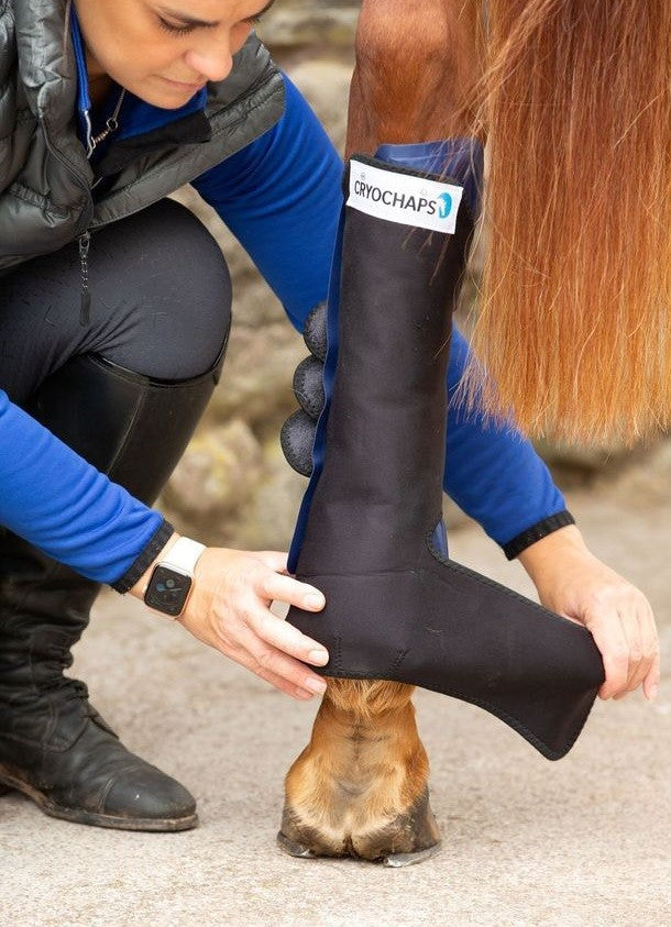 Cryochaps K2f Ice Wrap Pair Hind-STABLE: Ice Boots-Ascot Saddlery