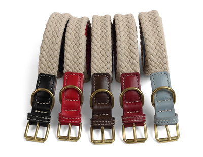 Da Vinci Giovanna Flat Rope Collar Black-Dog Collars & Leads-Ascot Saddlery