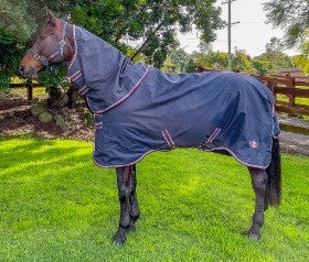 Defender X Combo With 100gm Liner-RUGS: Winter Rugs, Neck Rugs & Hoods-Ascot Saddlery