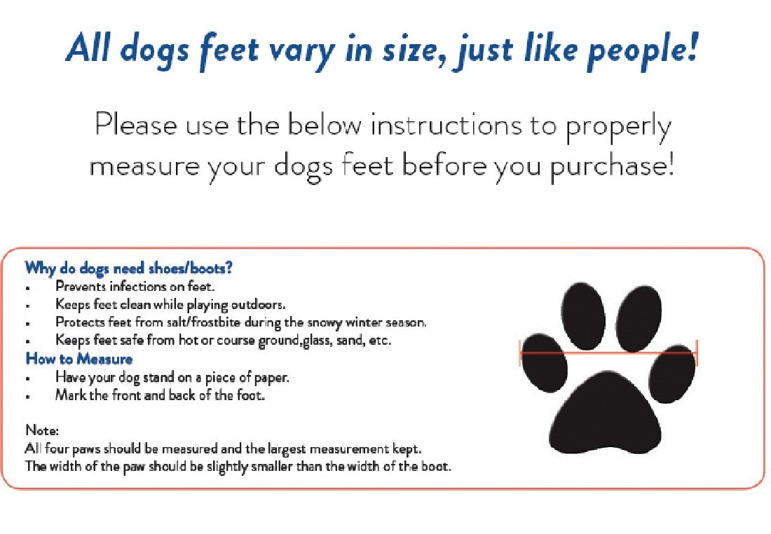 Dog Boots Zees Waterproof Set Of 4 Blue-Dog Rugs & Fashion-Ascot Saddlery