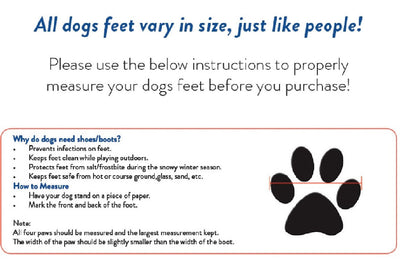 Dog Boots Zees Waterproof Set Of 4 Blue-Dog Rugs & Fashion-Ascot Saddlery