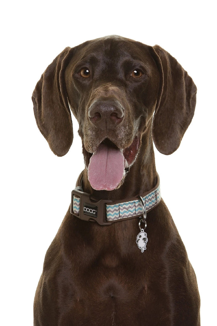 Doog Dog Collar Benji-Dog Collars & Leads-Ascot Saddlery