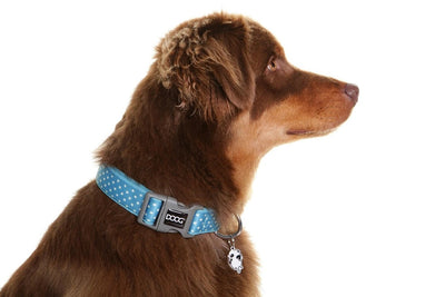 Doog Dog Collar Snoopy-Dog Collars & Leads-Ascot Saddlery