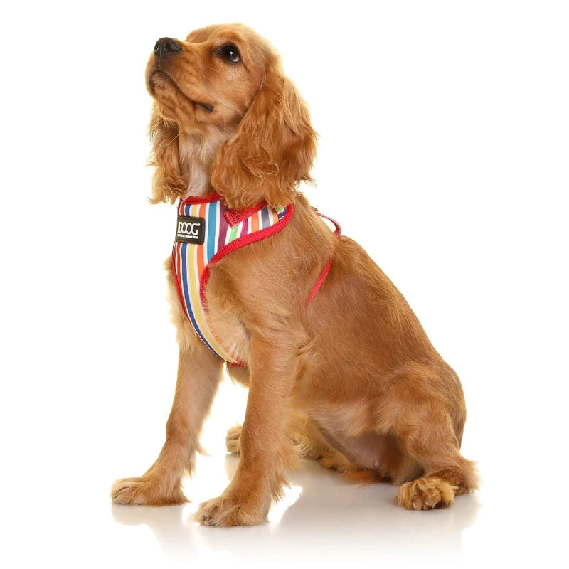 Doog Dog Harness Neoflex Scooby-Dog Collars & Leads-Ascot Saddlery