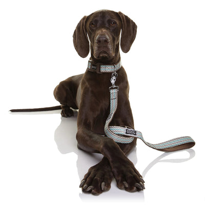 Doog Dog Leash Benji-Dog Collars & Leads-Ascot Saddlery