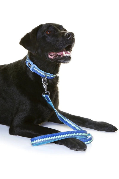 Doog Dog Leash Pluto-Dog Collars & Leads-Ascot Saddlery