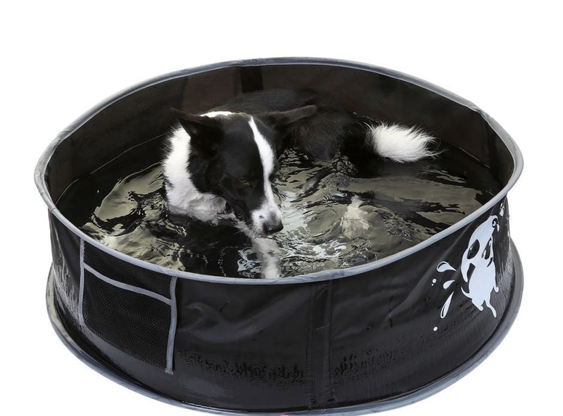 Doog Dog Pool Pop Up Small-Dog Accessories-Ascot Saddlery