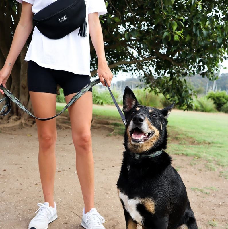 Doog Neosport Hip Belt Black-Dog Walking-Ascot Saddlery