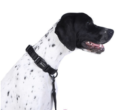 Doog Neosport Neoprene Dog Collar Black-Dog Collars & Leads-Ascot Saddlery