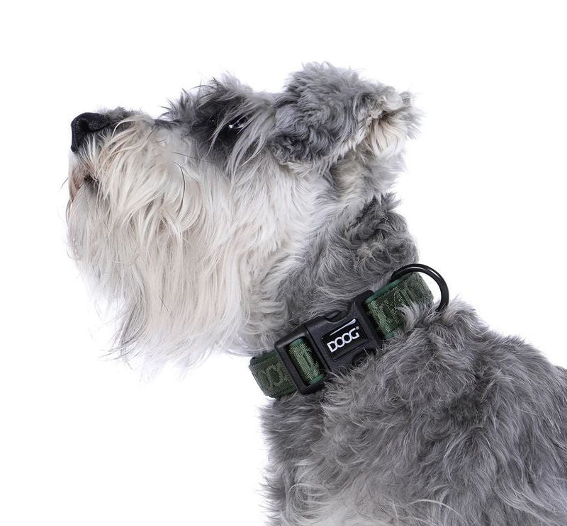 Doog Neosport Neoprene Dog Collar Green-Dog Collars & Leads-Ascot Saddlery