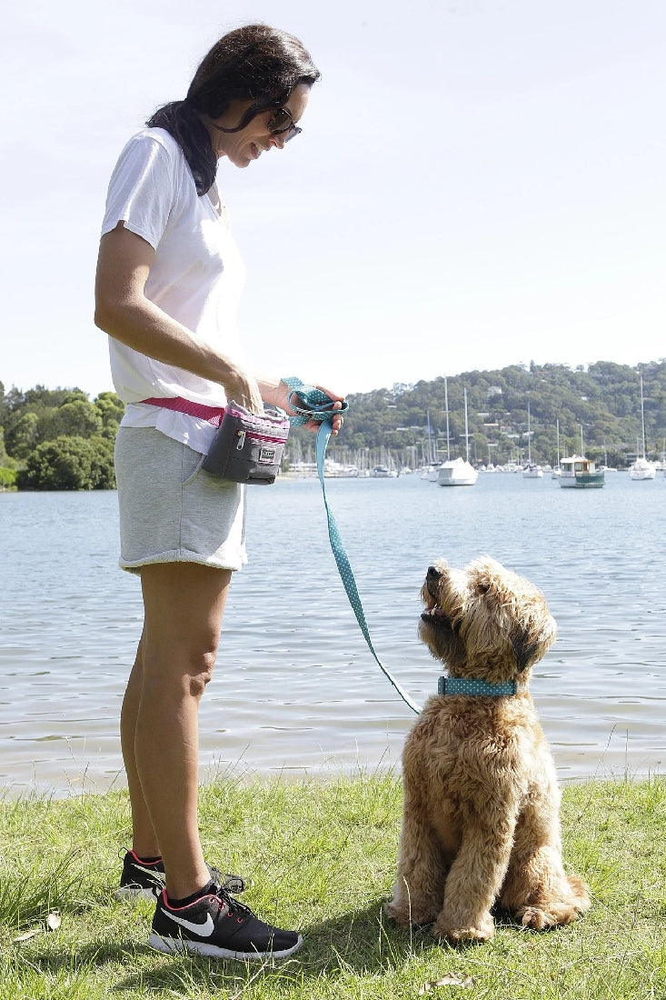 Doog Treat Pouch Grey & Pink Large-Dog Walking-Ascot Saddlery