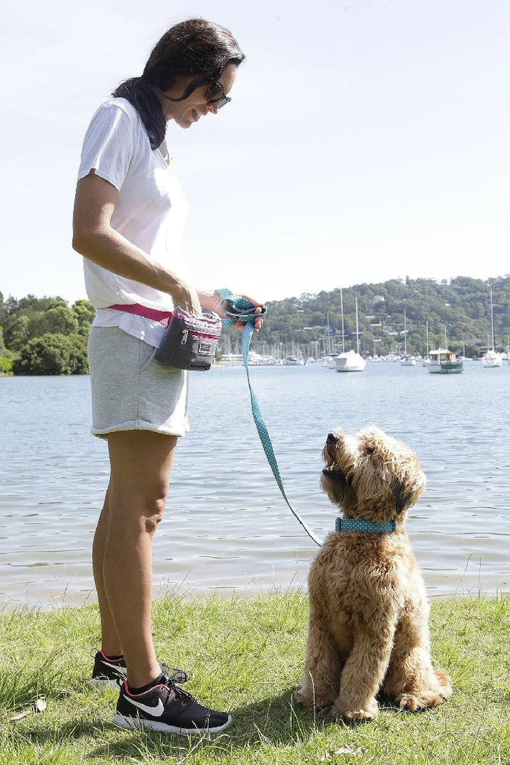 Doog Treat Pouch Grey & Pink Large-Dog Walking-Ascot Saddlery