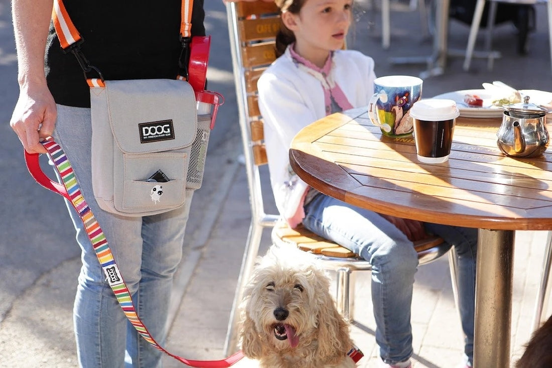 Doog Walkie Bag Shoulder Black-Dog Walking-Ascot Saddlery