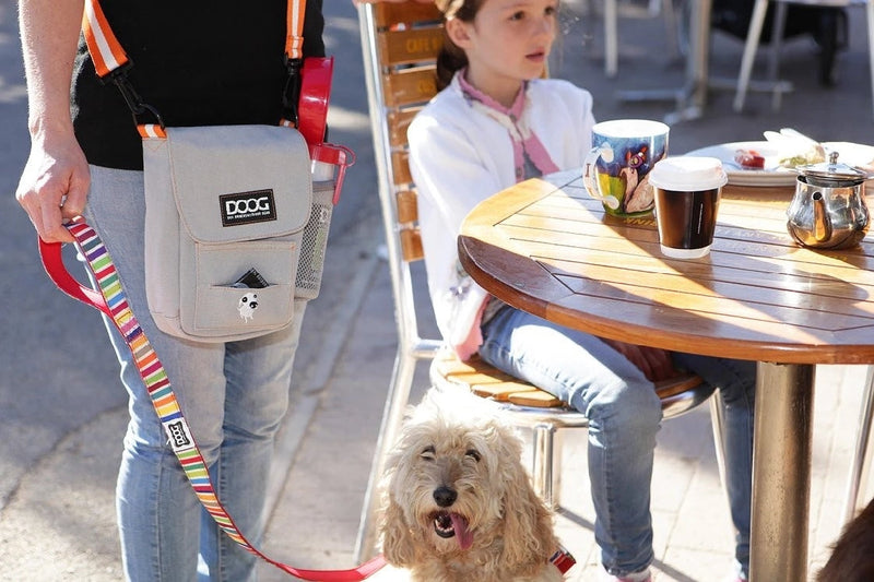 Doog Walkie Bag Shoulder Blue-Dog Walking-Ascot Saddlery
