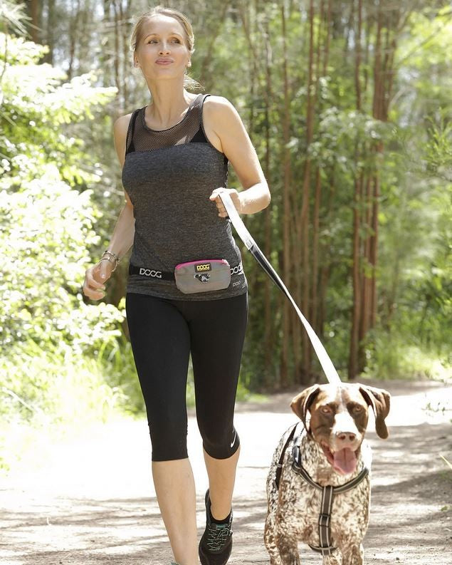 Doog Walkie Belt Grey & Neon Mini-Dog Walking-Ascot Saddlery