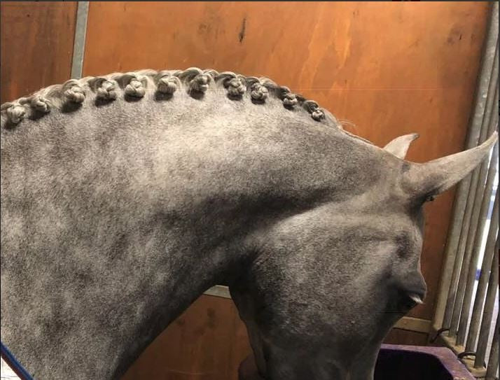 Dr Show Super Mousse Braid & Shine 375ml-STABLE: Show Preparation-Ascot Saddlery