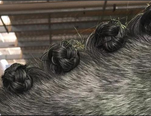 Dr Show Super Mousse Braid & Shine 375ml-STABLE: Show Preparation-Ascot Saddlery