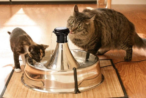Drinkwell Pet Fountain 360 Degrees Stainless Steel-Dog Accessories-Ascot Saddlery