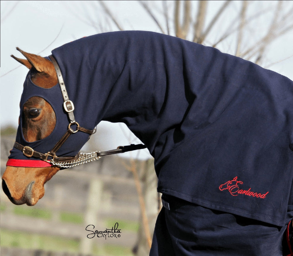 Earlwood Cotton Hood Navy & Red-RUGS: Summer Rugs, Neck Rugs & Hoods-Ascot Saddlery