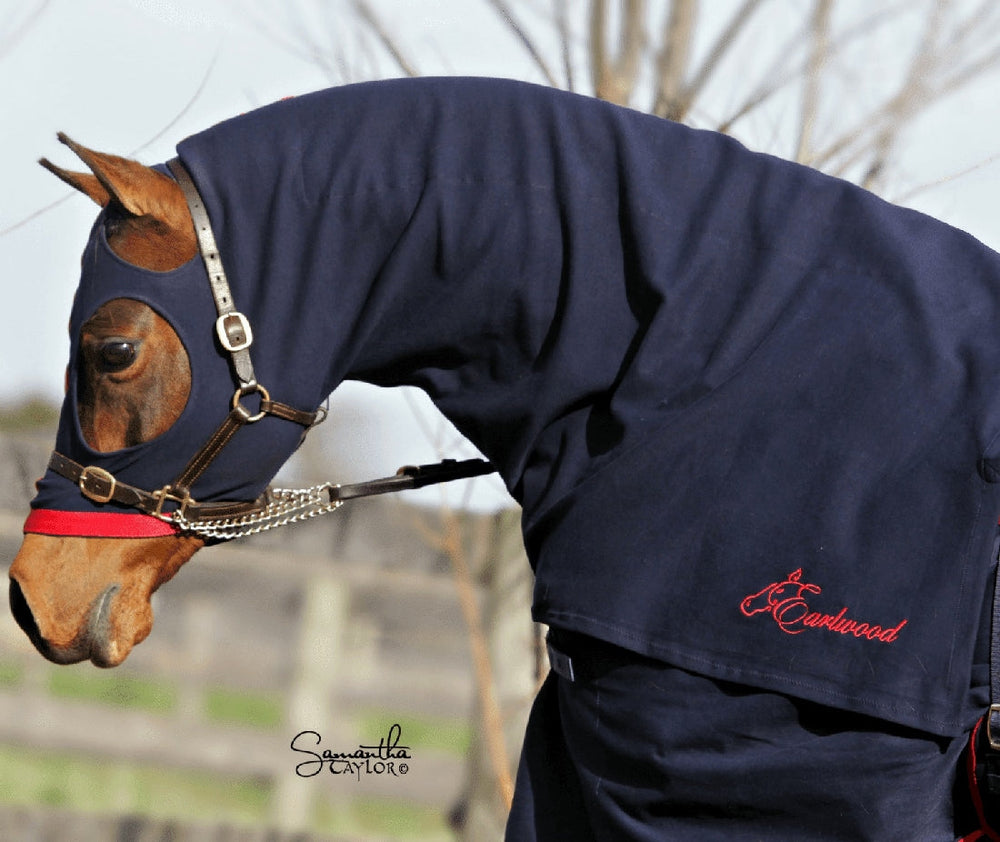 Earlwood Cotton Hood With Zip Navy & Red-RUGS: Summer Rugs, Neck Rugs & Hoods-Ascot Saddlery