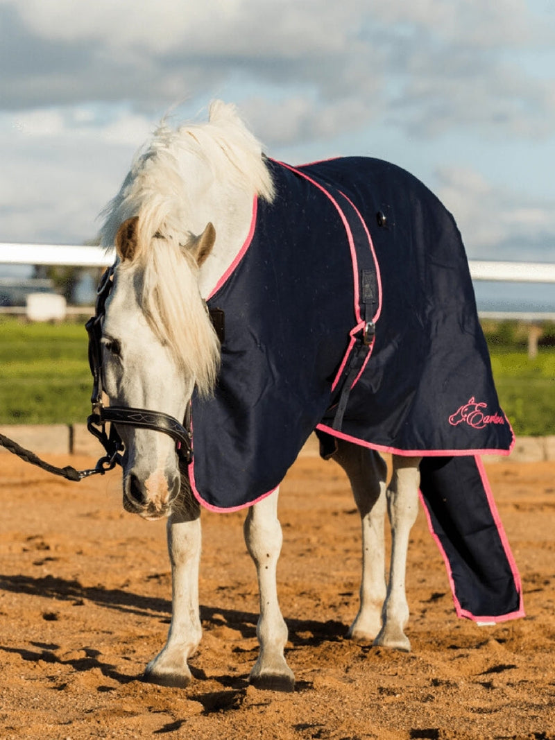 Earlwood Cotton Rug Navy & Pink-RUGS: Summer Rugs, Neck Rugs & Hoods-Ascot Saddlery