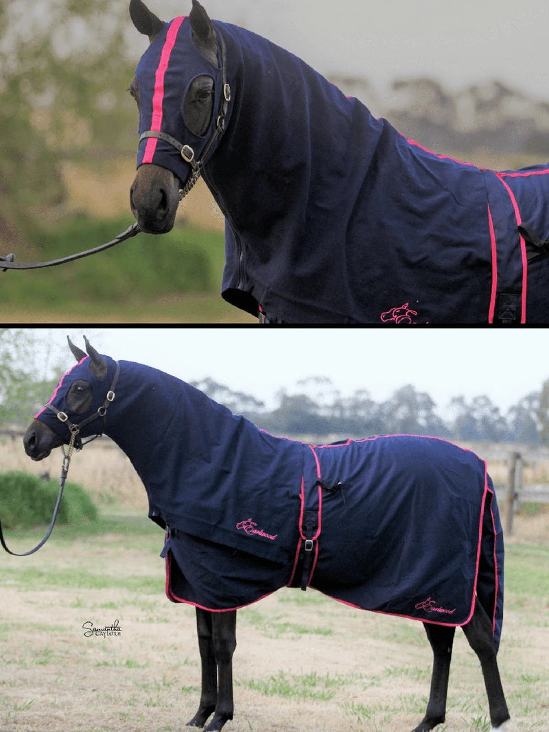 Earlwood Cotton Rug Navy & Pink-RUGS: Summer Rugs, Neck Rugs & Hoods-Ascot Saddlery